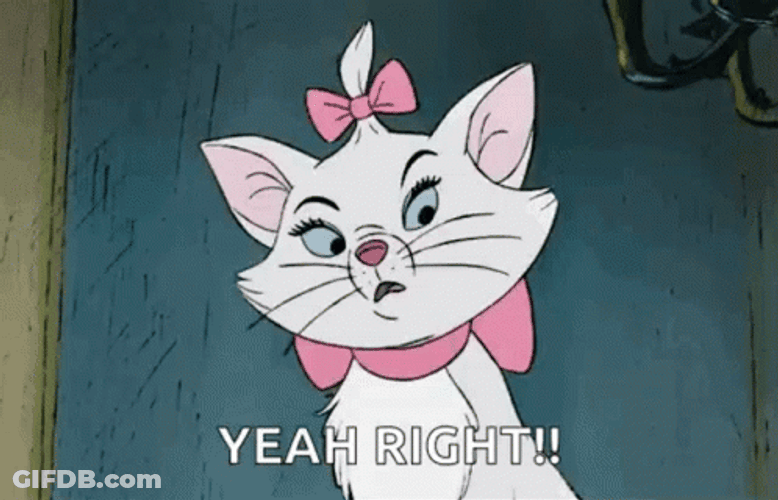 Cute Cat Eyeroll Yeah RIght GIF