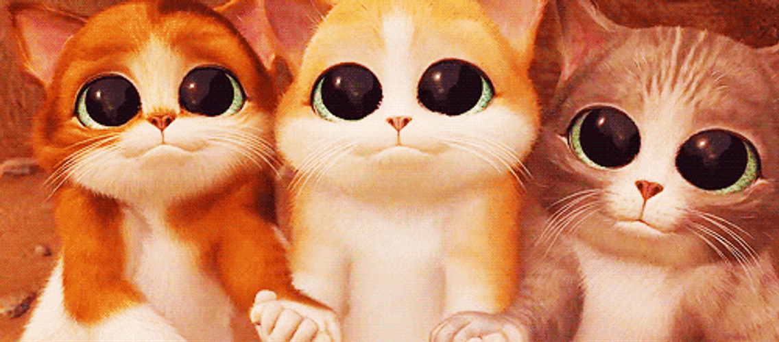 Cute Cat Eyes Meow GIF