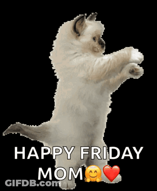 Cute Cat Happy Friday Meme GIF
