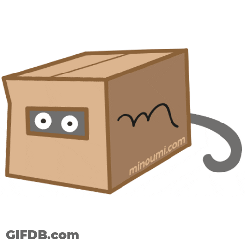 Cute Cat Hiding Inside A Box GIF