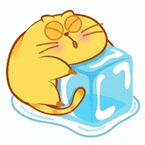 Cute Cat Hug Ice Cube GIF