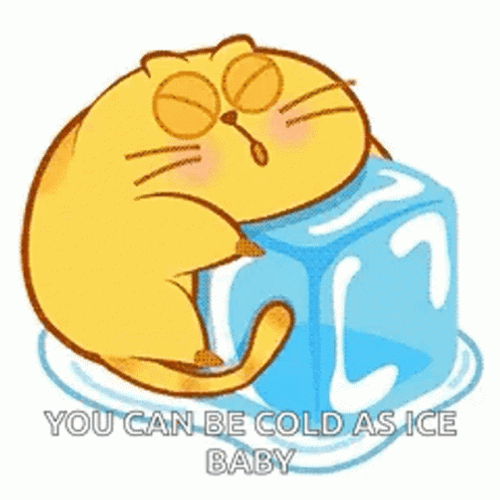Cute Cat Hugging Ice Ice Baby GIF