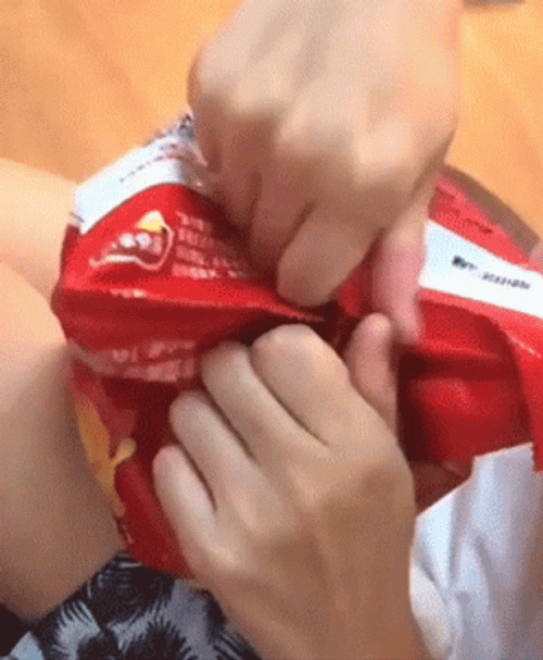 Cute Cat Inside A Bag Of Chip Meme GIF