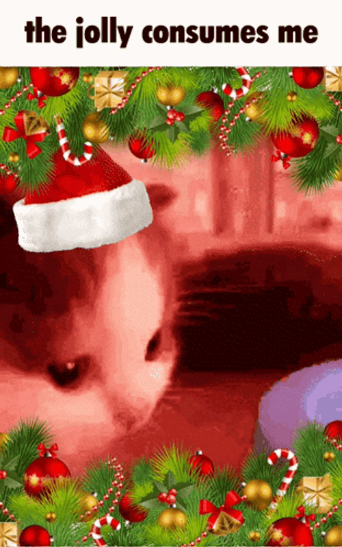 Cute Cat Jolly Consume Me Christmas Meme GIF