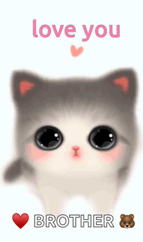 Cute Cat Love Ya Brother GIF