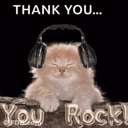 Cute Cat Music Thank You Very Much GIF