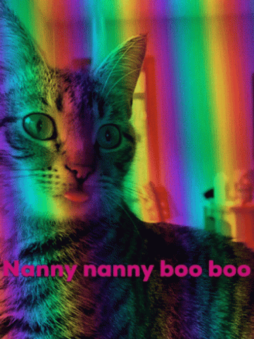 Cute Cat Nanny Boo Boo GIF