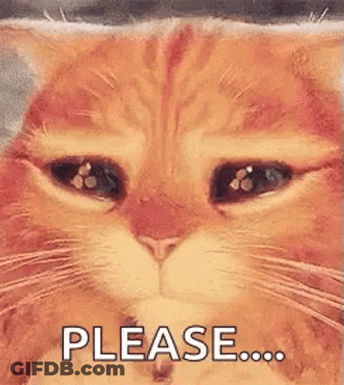 Cute Cat Puss In Boots Please GIF
