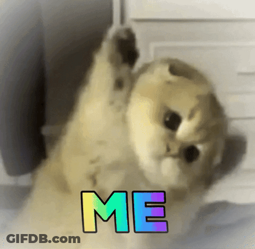 Cute Cat Raising Hand Me GIF