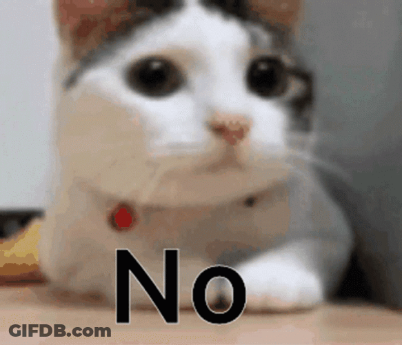 Cute Cat Shaking Head No No GIF
