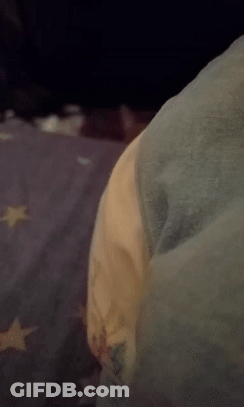 Cute Cat Stalker GIF