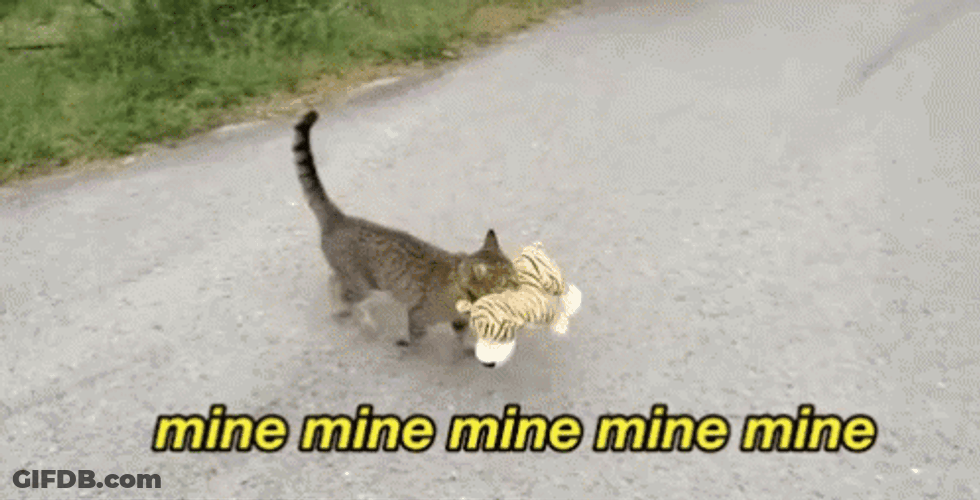 Cute Cat Taking Toy Mine GIF