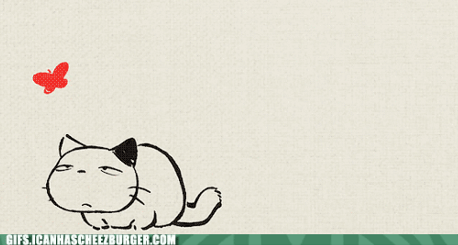 Cute Cat Watching Butterflies Flying GIF