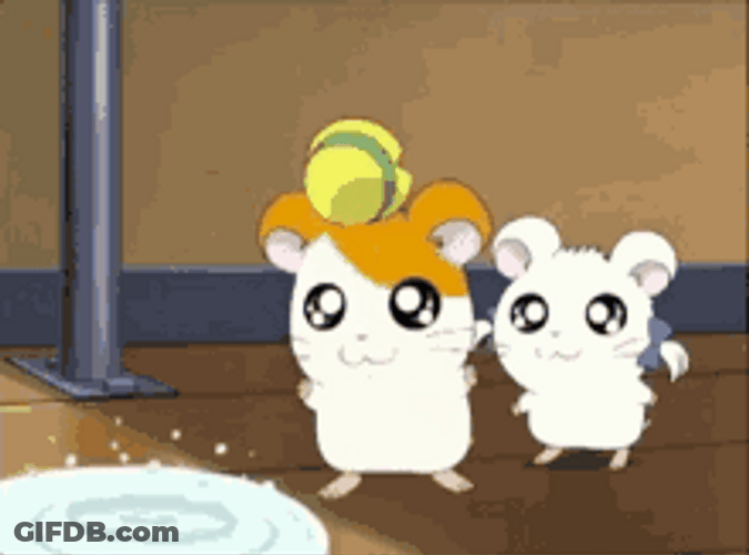 Cute Catch Water Droplet Hamtaro Thirsty GIF