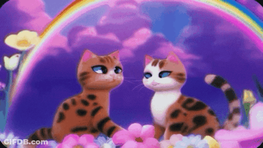 Cute Cats And Moving Rainbow GIF