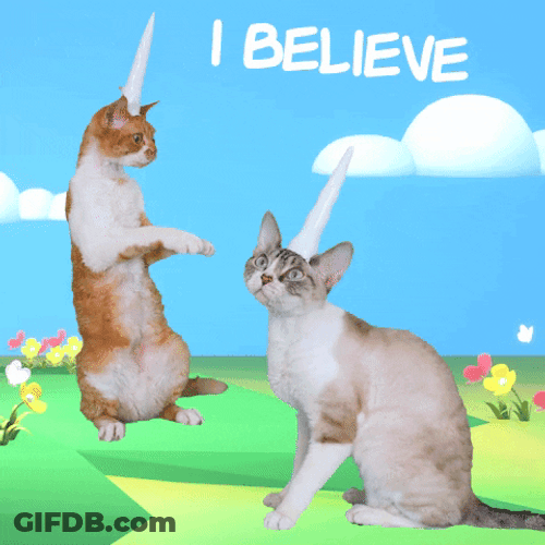 Cute Cats I Believe GIF
