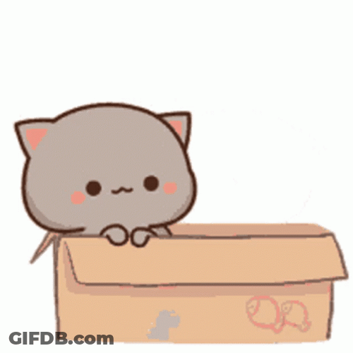 Cute Cats Inside Box GIF