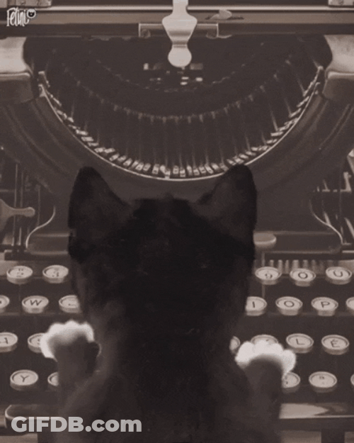 Cute Cats Meow Meow Typing GIF