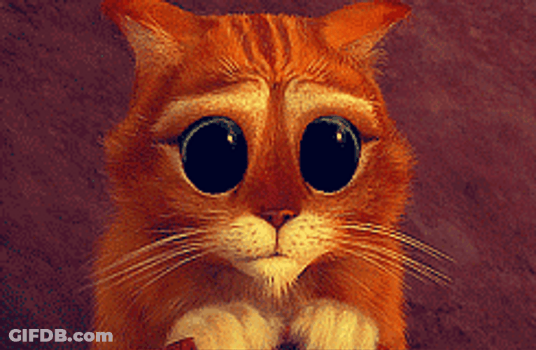 Cute Cats Puss In Boots GIF