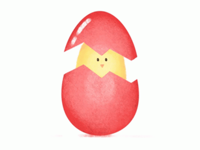 Cute Chick Egg Roll GIF