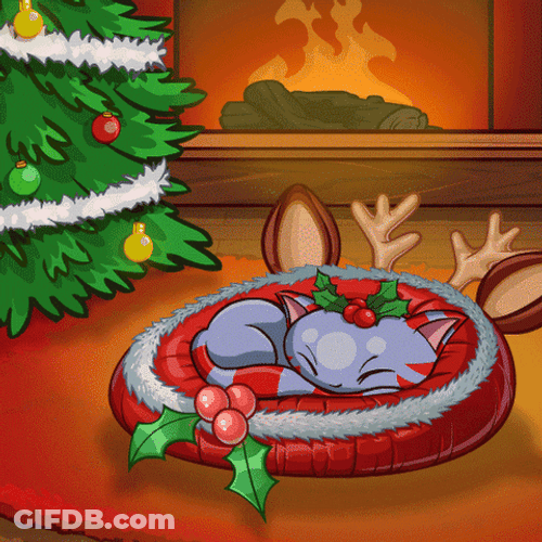 Cute Christmas Cat Animated GIF