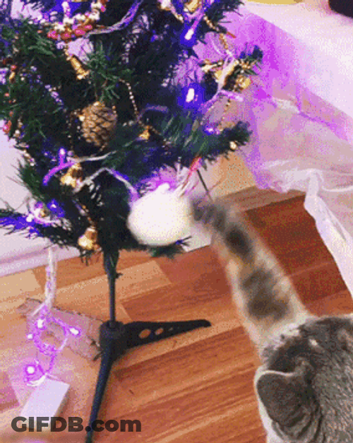 Cute Christmas Cat Playing Christmas Ball GIF
