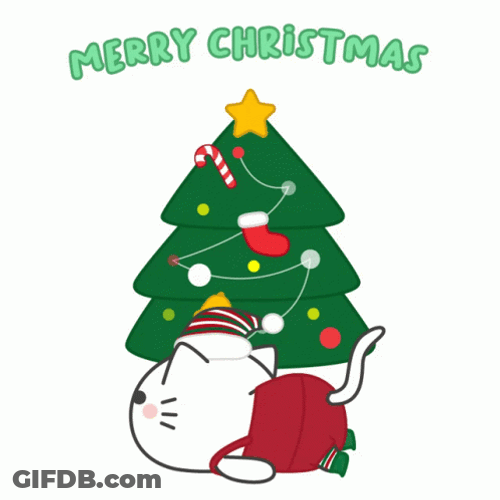 Cute Christmas Excited White Cat Greeting GIF