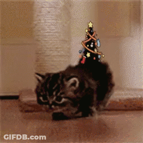 Cute Christmas Tail Of A Kitten GIF