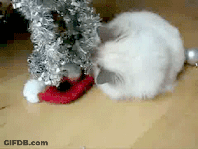 Cute Christmas Tree Played By A Cat GIF