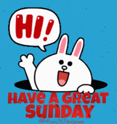 Cute Cony Bunny Sunday Blessings Hi Great Day GIF