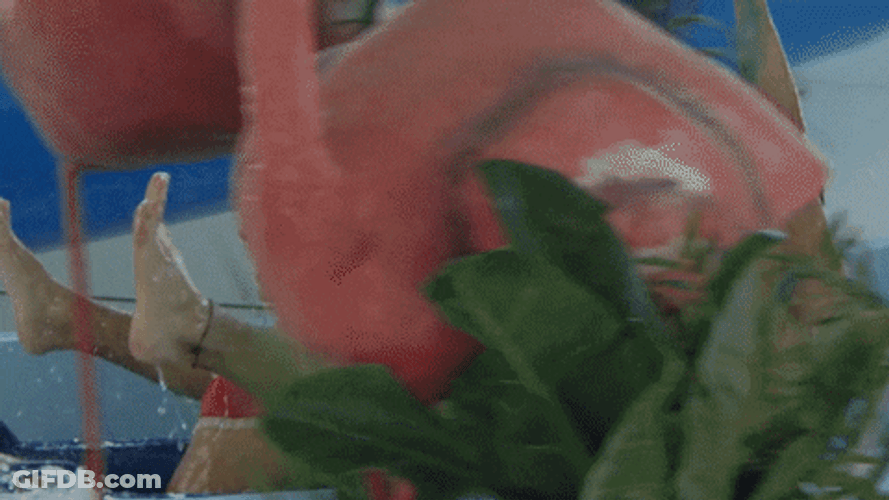 Cute Couple Waterslide Fun GIF
