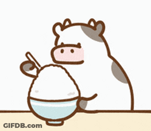 Cute Cow Eating GIF