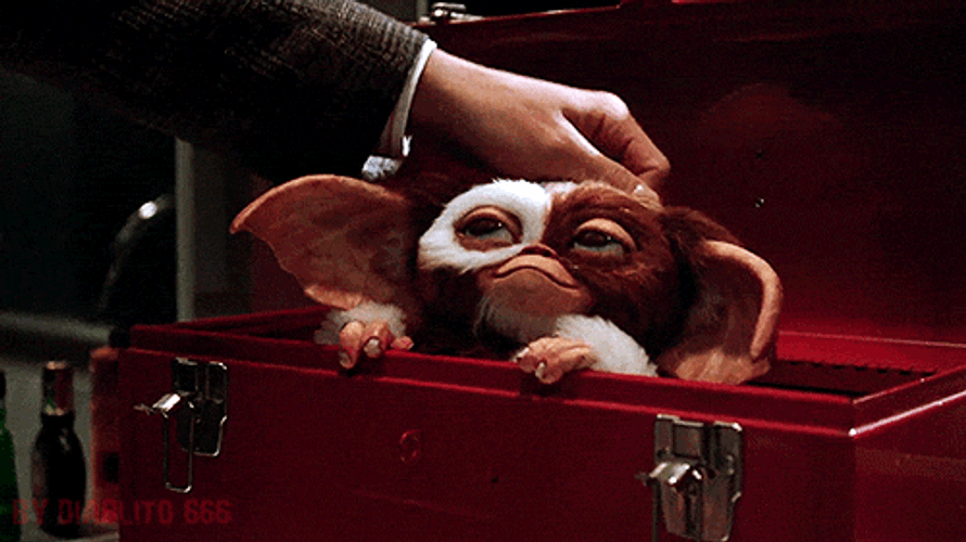 Cute Creature Head Scratch By Man GIF