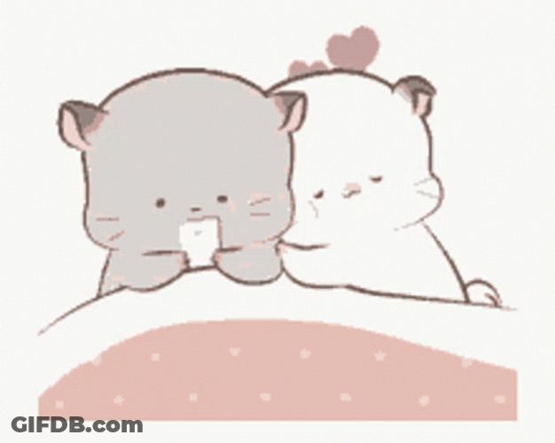Cute Cuddling And Snuggle Cat GIF