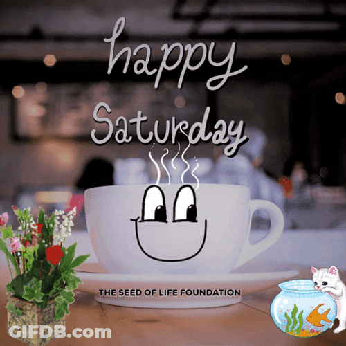 Cute Cup Cartoon Saturday Morning GIF