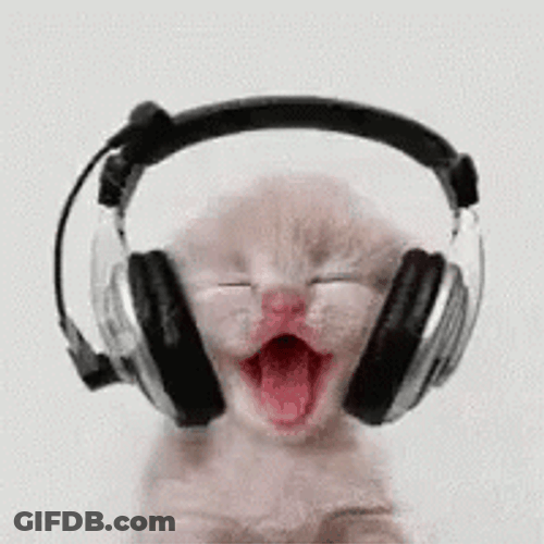 Cute DJ Cat Jamming GIF