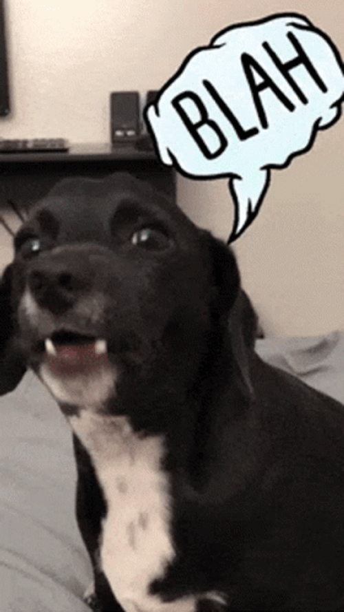 Cute Dog Barking Blah GIF