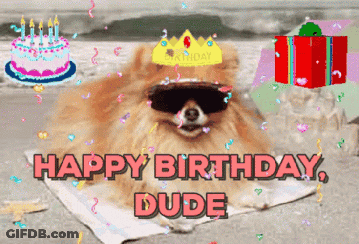 Cute Dog Beach Birthday Wishes GIF