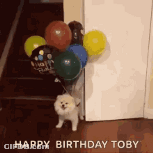 Cute Dog Birthday Balloons Float GIF