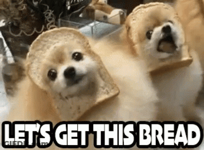 Cute Dog Bread Mask GIF