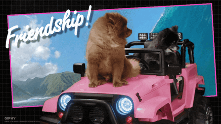 Cute Dog Friendship GIF