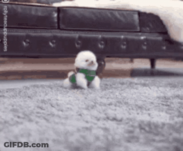 Cute Dog Green Hopping GIF