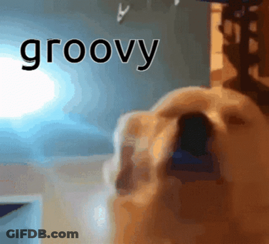 Cute Dog Groovy GIF