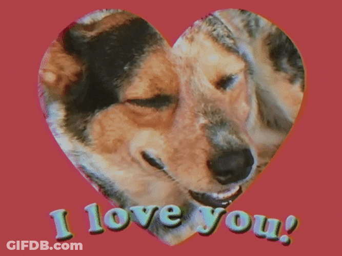 Cute Dog I Love You GIF