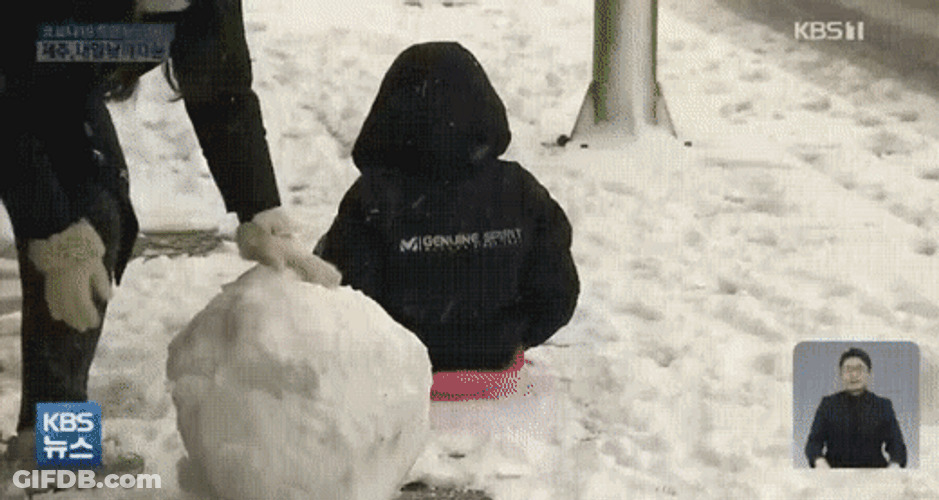 Cute Dog Motorcycle Ride GIF