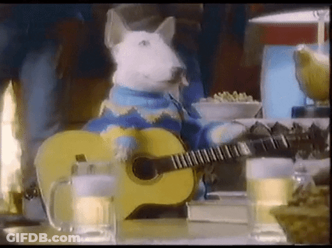 Cute Dog Playing Guitar GIF