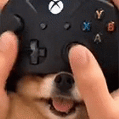 Cute Dog Pretending As Joystick Controller GIF