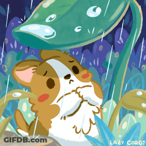 Cute Dog Rainy Good Morning GIF