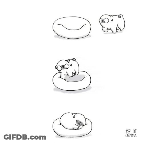 Cute Dog Spinning On Its Bed GIF