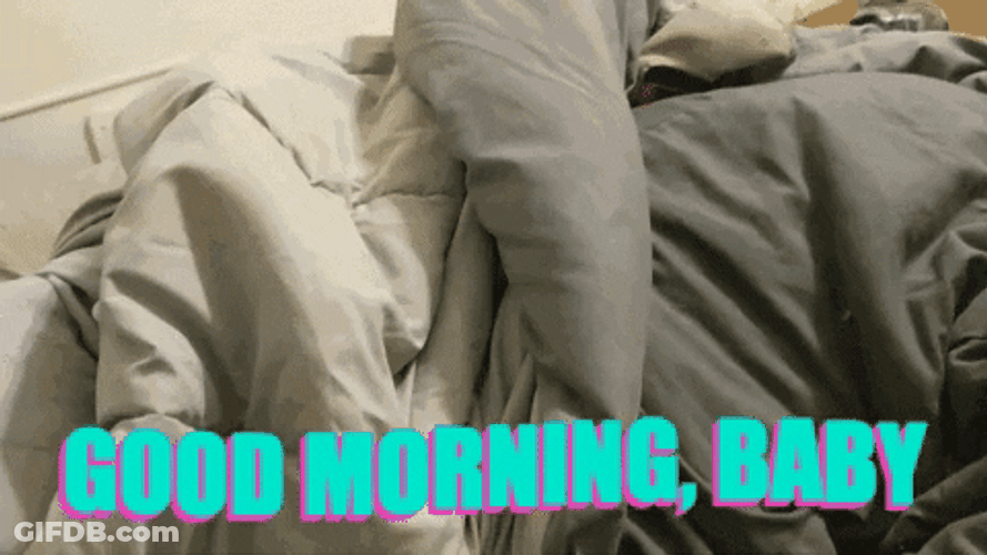 Cute Dog Surprise Good Morning Honey GIF